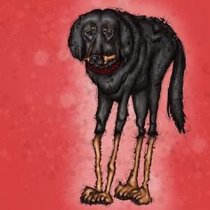 Meet your Posher, Cortney